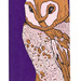 Barnowl_thumb