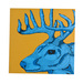 Buck_thumb