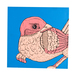 Pinky_thumb