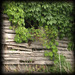 14_6x6_thumb