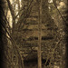 28_4x8_thumb