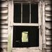 48_6x8_thumb