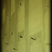55_6x12_thumb