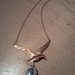 Img_20110803_171726_thumb