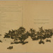 09p6-2b