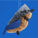 Bluejay_thumb