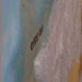 09l4-1