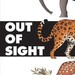 Out_of_sight_2_thumb