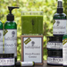 Thistle_farms_thumb