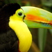 Dczoo14_thumb