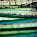 Danahouse38_thumb