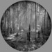Bamboo-shooting_thumb
