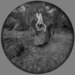 J-at-quarry_thumb