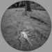 Jm-rests-copy_thumb