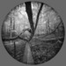 Keira-on-tree-1_thumb