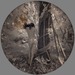 Vine-pass_thumb