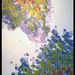 15_progression_of_elements_thumb