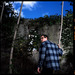 Seanwindow2_thumb