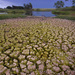 Drygrounds_thumb