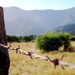 Laguna_alcueo33_thumb
