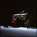 Jenilee_snow_tree_2b_thumb