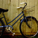Bike_thumb