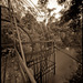 Waterwheel_cambodia_thumb