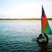 Sunfish_thumb